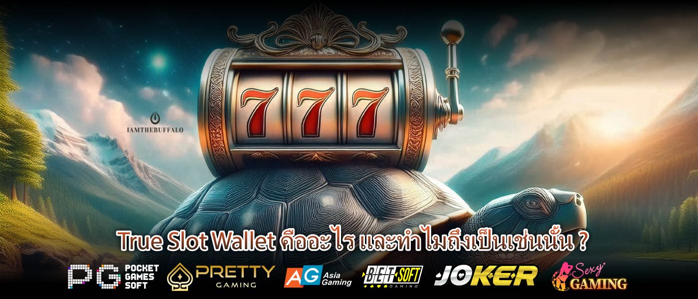 True Slot Wallet คืออะไร และทำไมถึงเป็นเช่นนั้น ?